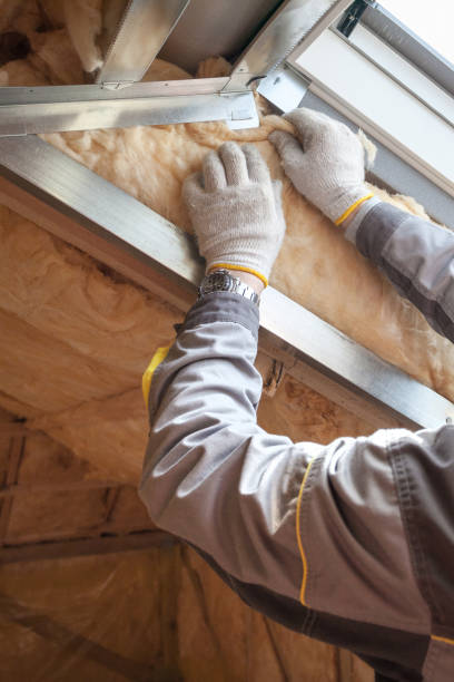 Best Insulation Repair Services  in Hastings, NE