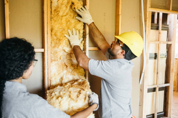 Best Residential Insulation Services  in Hastings, NE