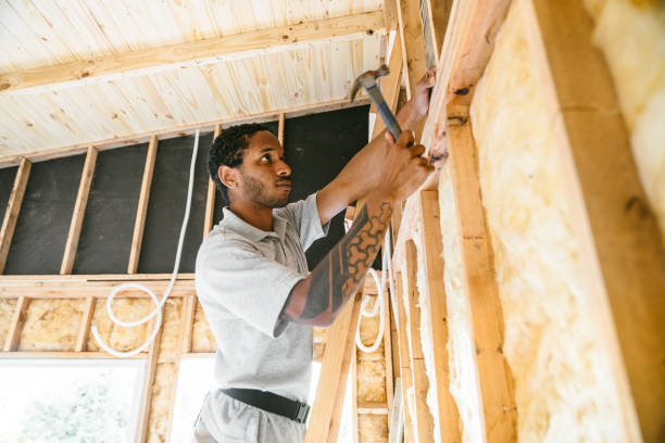 Best Insulation Removal  in Hastings, NE