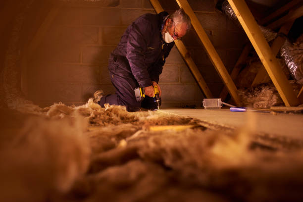 Best Insulation Contractors for Homes  in Hastings, NE