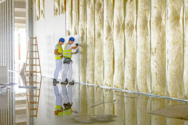 Best Wall Insulation Contractor  in Hastings, NE
